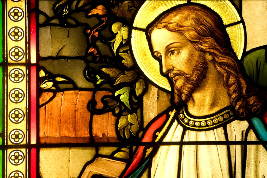 ��͂킪�q��