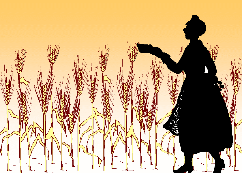 �h���[�E�f�[