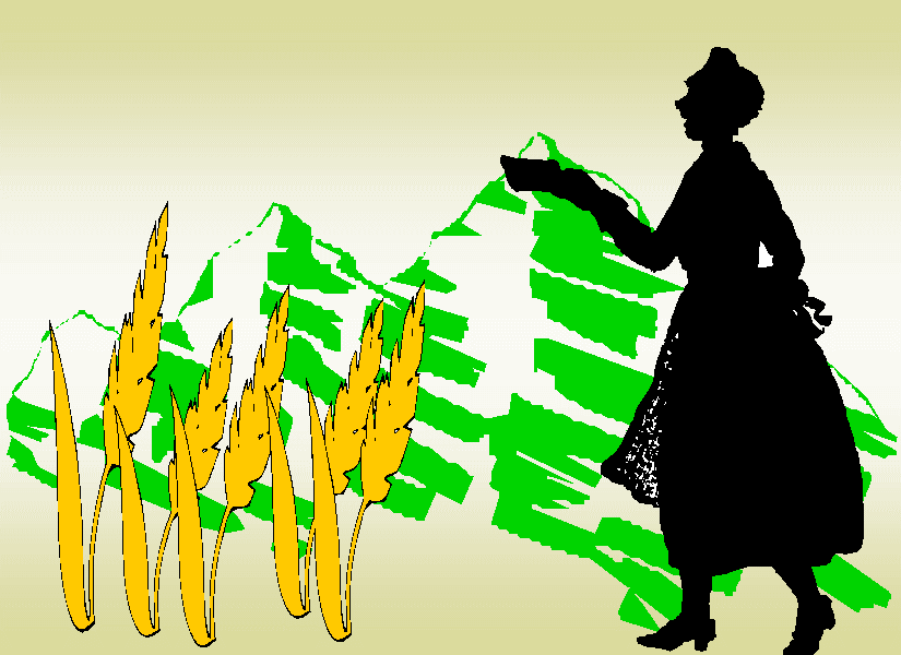 �h���V�[�E�W���[���Y