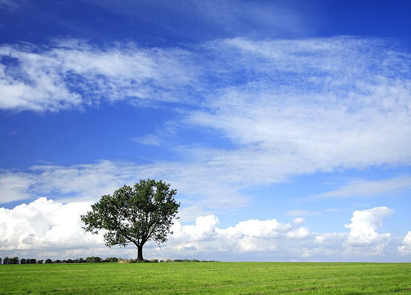 �Ȃ������P���^�b�L�[�̂킪��