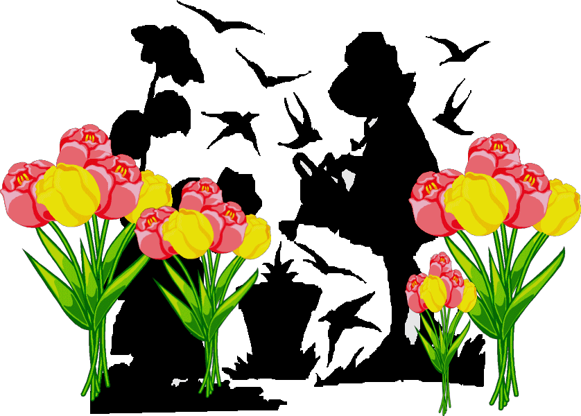 �₳�����A�j�[