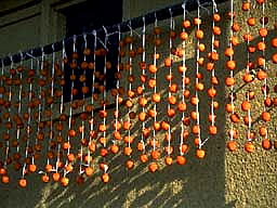 ���{�̕��i