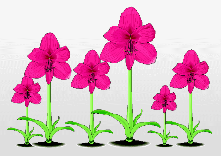 �A�}�����X