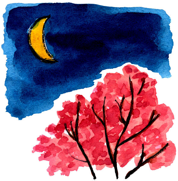 �J�~�肨������i�J�~�肨���j