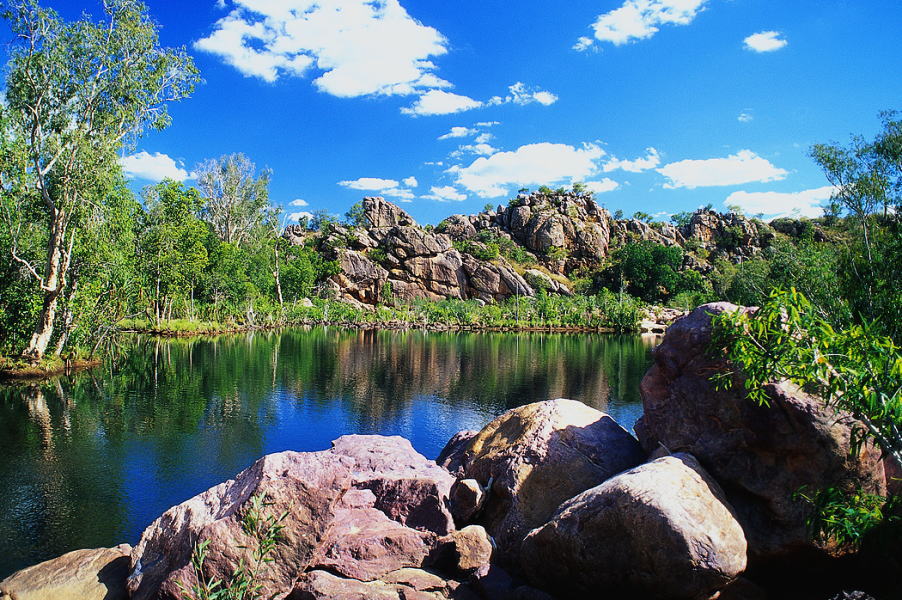 �E�H���V���O�}�`���_