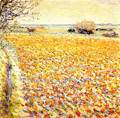 �̂̂΂���