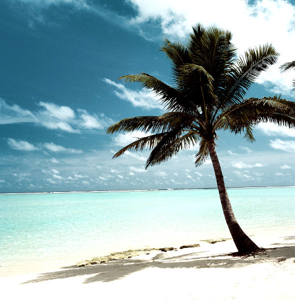 �������J�n�i�̓�