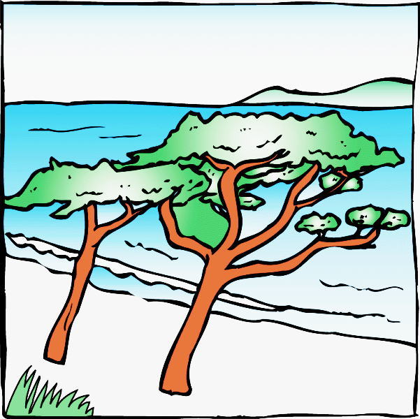 �������V�R