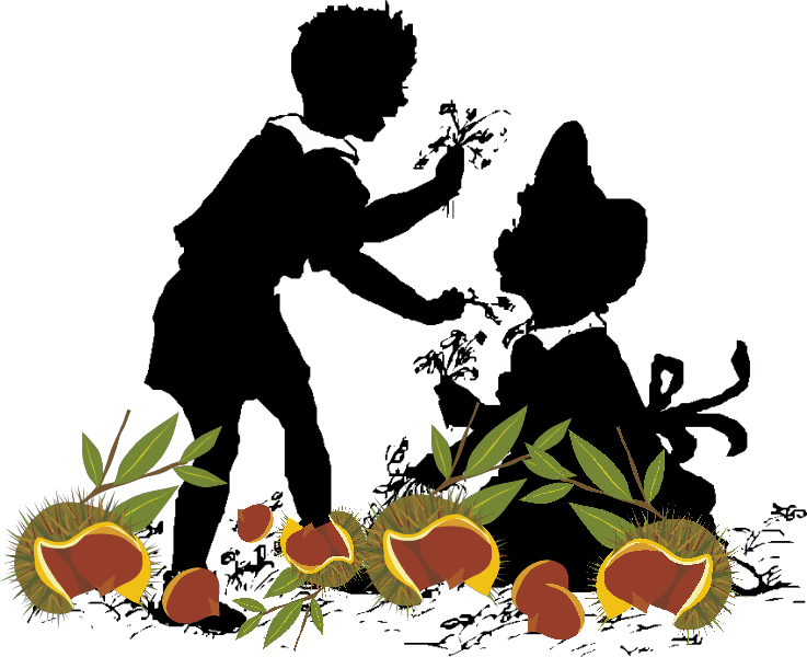 �傫�ȌI�̖؂̉���