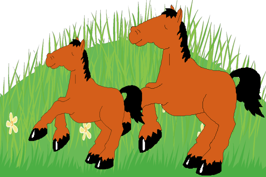 ����܂݂͂��