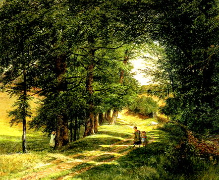 �P���Ă̒�