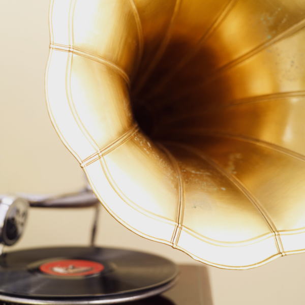 �J�`���[�V���̉S