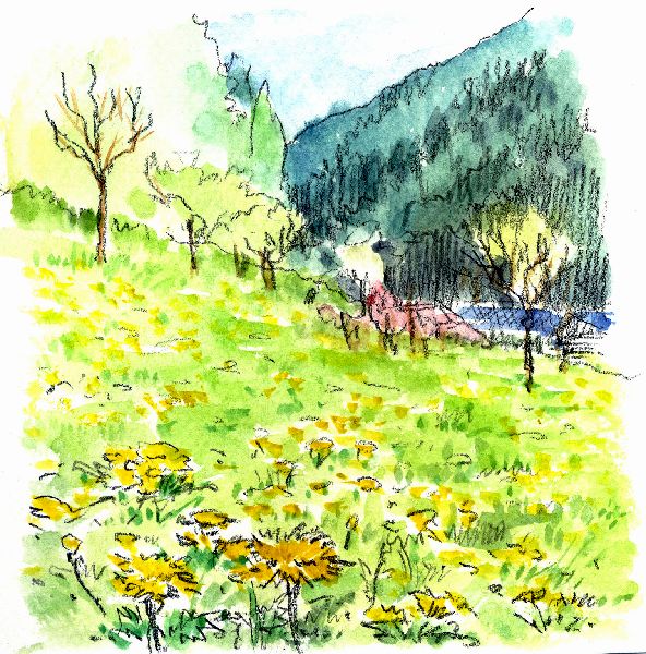 �̋��𗣂���