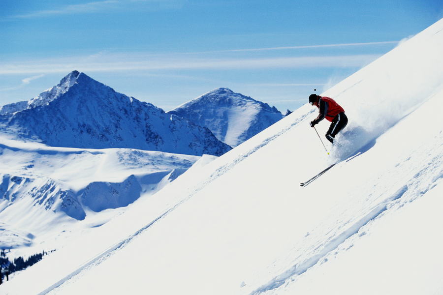 �V�[�n�C���̉�