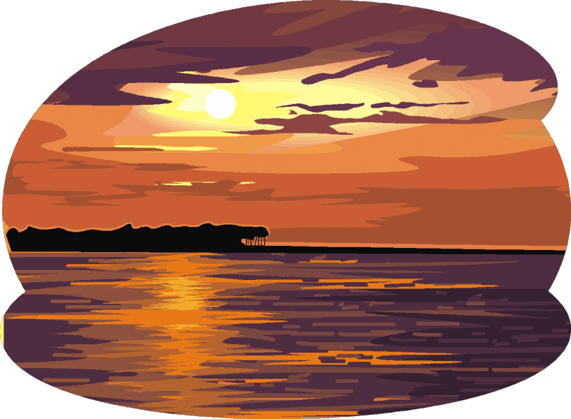 �V�F�i���h�[