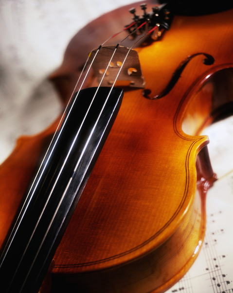 �V���[�x���g�̃Z���i�[�f