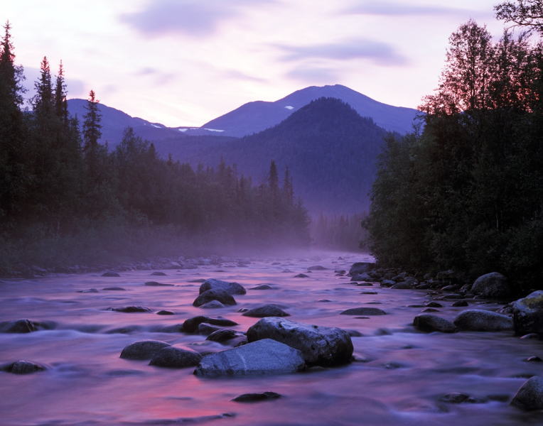 �X�e���J���[�W��