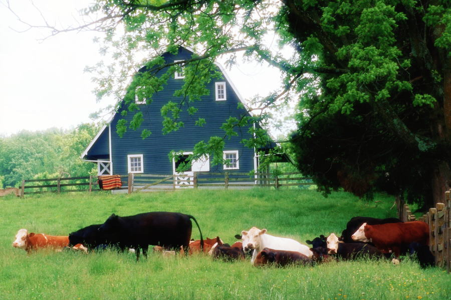 �X�g�h���p���p