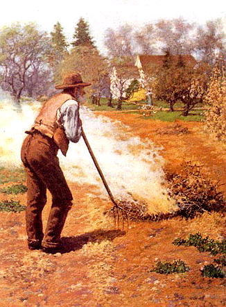 �y�����_�v