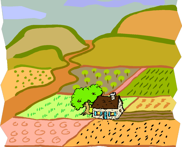 ����ڂ̒��̈ꌬ��