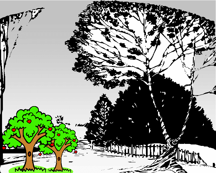 �����Ȗ؂̎�