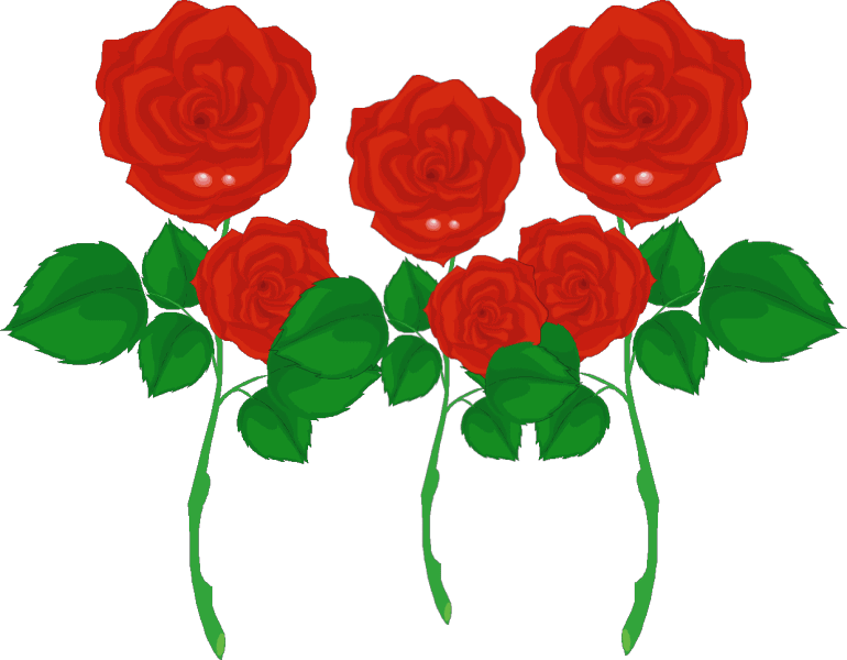 �j�[�i�̎�