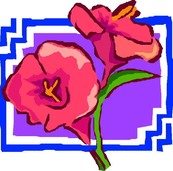 �ꂪ��������