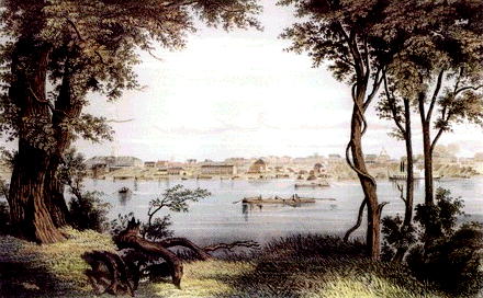 ��Ȃ�{���K