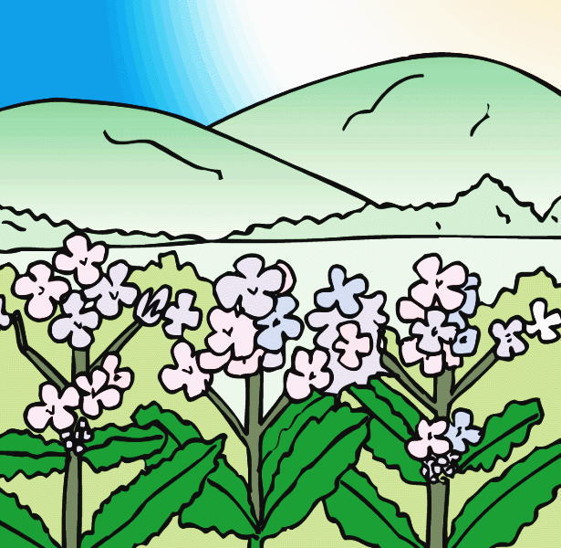 �t������