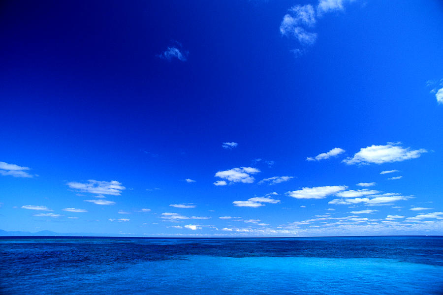 �}�C�{�j�[