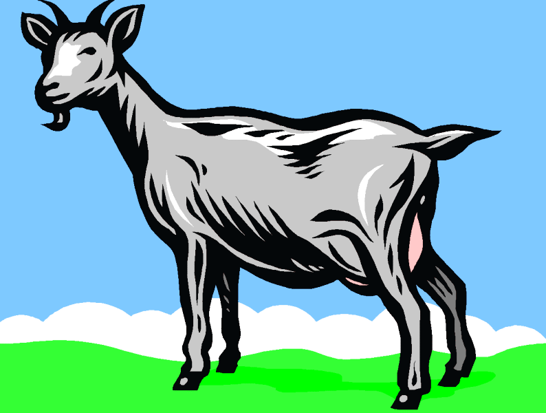 �߂��߂����R�r