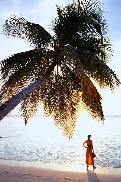 ���p���}