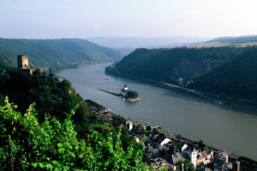 ���[�����C