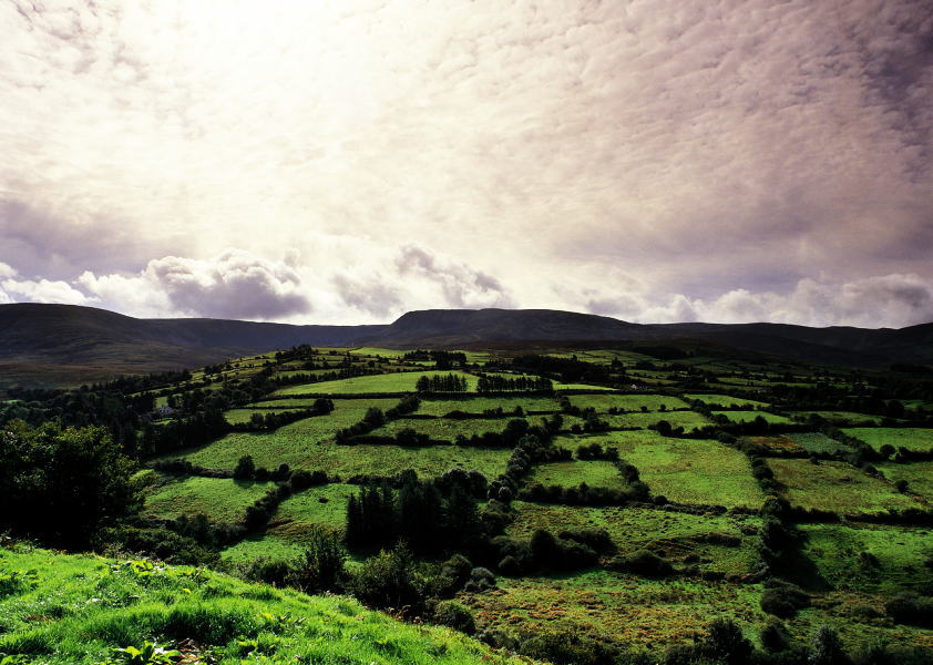 �����h���f���[�̉�