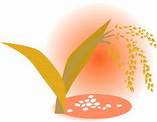 �C���X�g/���n�̏H